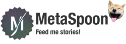 MetaSpoon