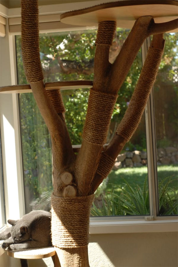 cattree2