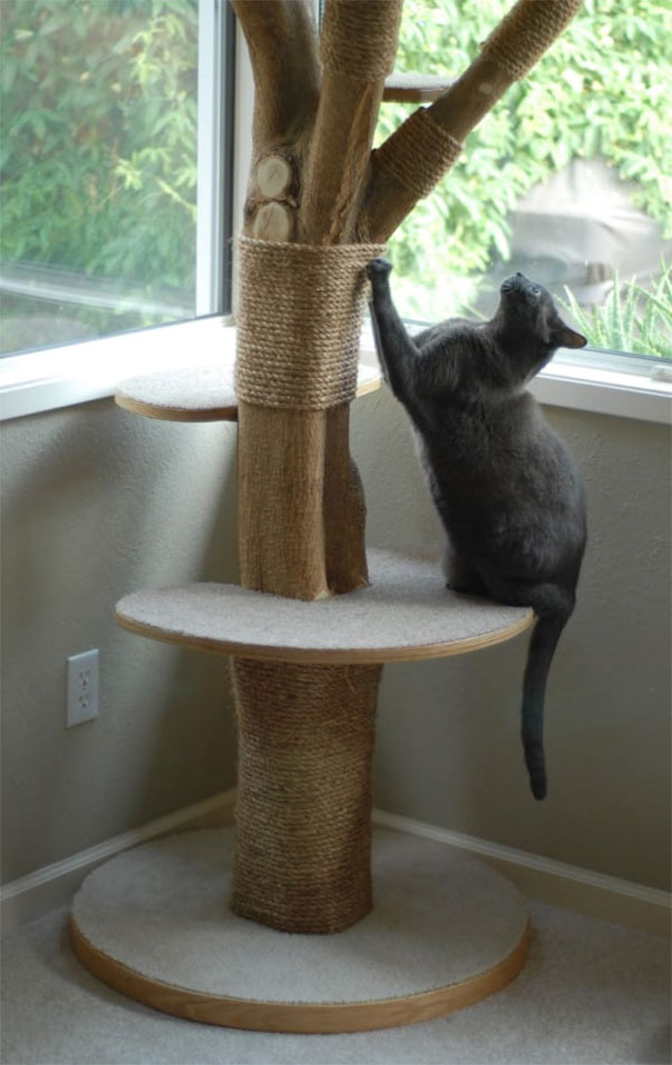 cattree4