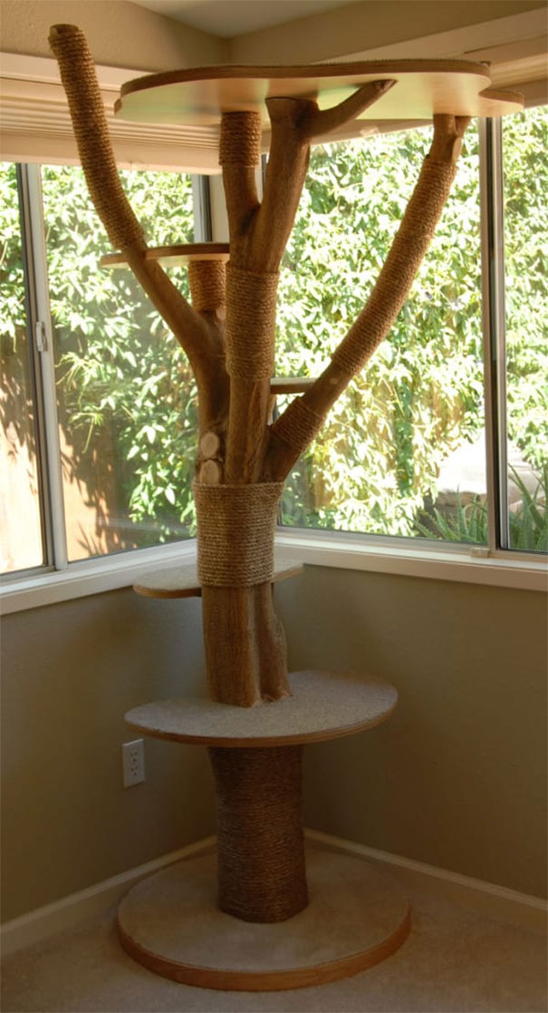 cattree5