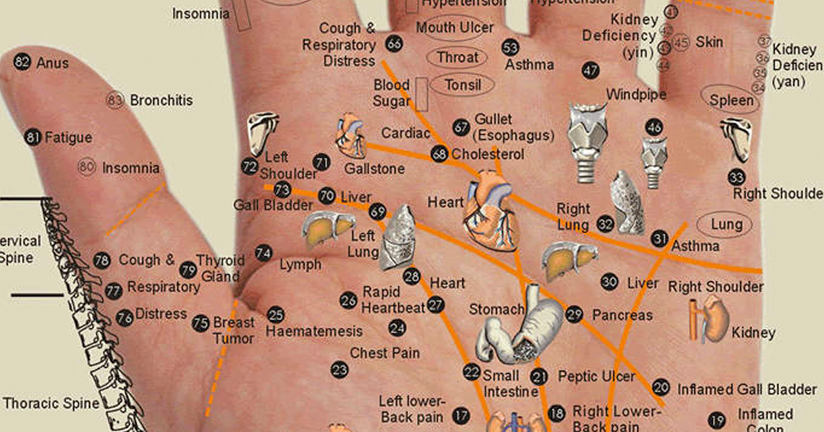 All Of Your Body Parts Are In The Palm Of Your Hand! Just Press The 