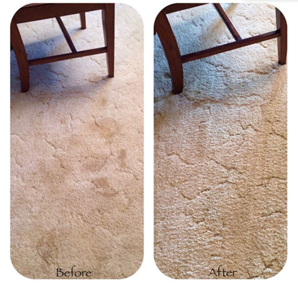 She Uses Just Two Simple Ingredients To Completely Remove Pet Stains