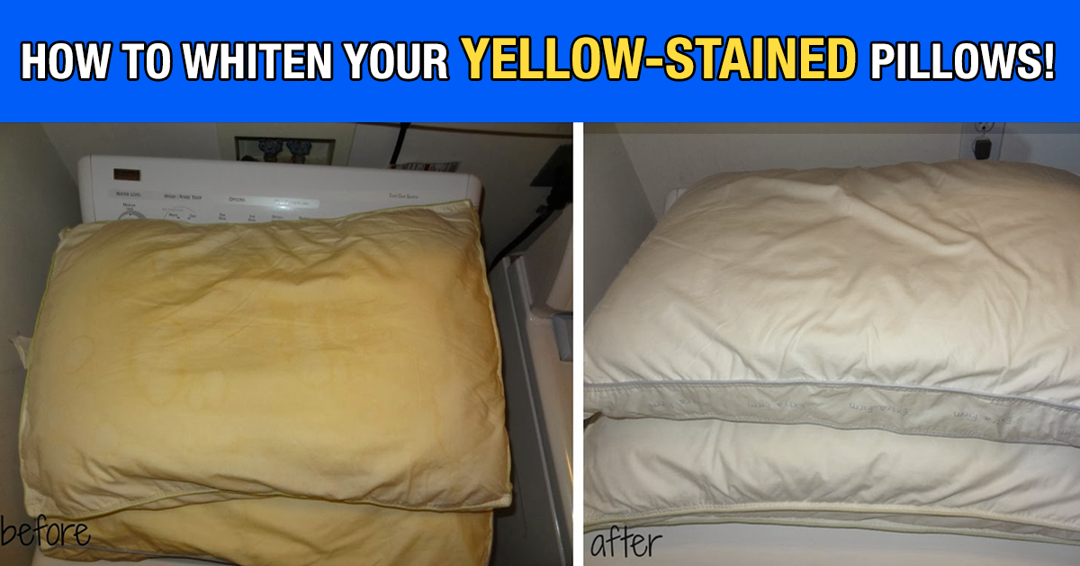 i was going to throw out my gross yellow stained pillows until i yellow sweat stains on bed sheets