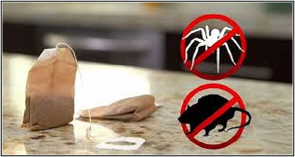 leeftips teabag diabetika hirdetés metaspoon lovethispic recipes2day bestgirl aranhas ratos