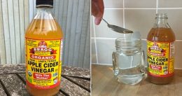 He Pours White Vinegar Inside His Toilet Tank. Now Watch When He ... He Pours White Vinegar Inside His Toilet Tank. Now Watch When He ...