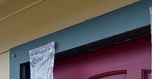 If You Ever See Bags Filled With Water Nailed Above A Neighbour S
