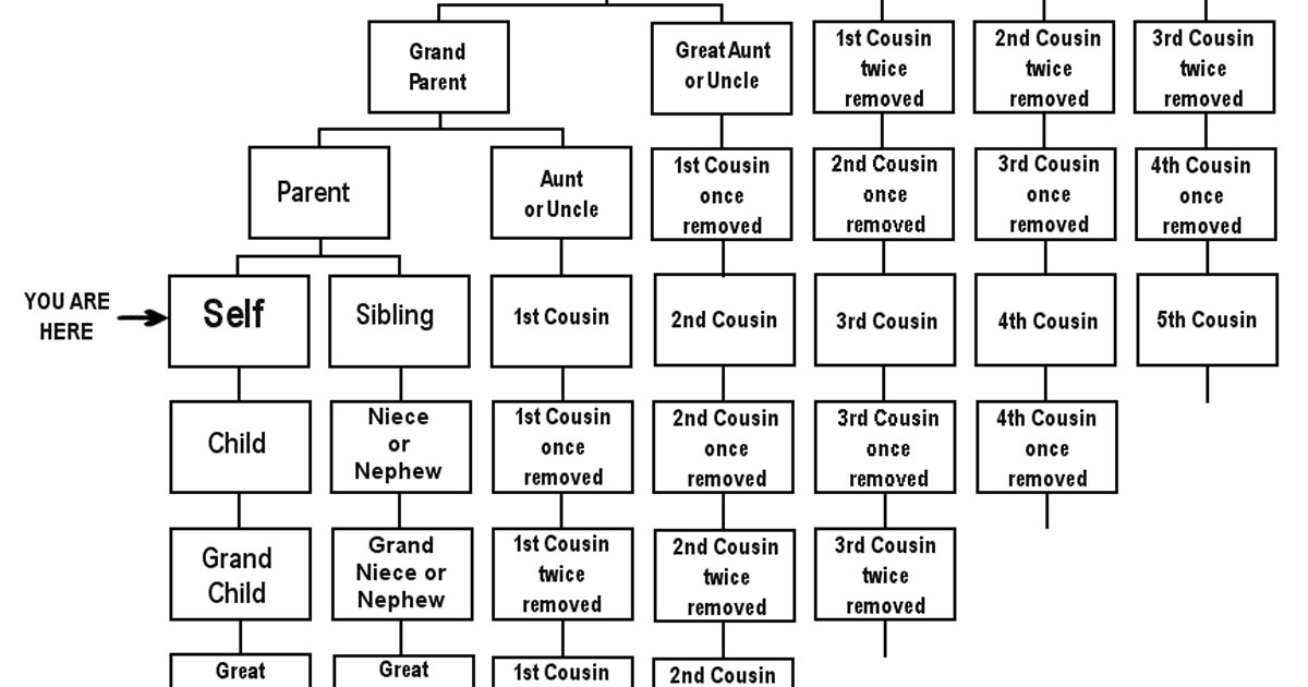 Understand The Difference Between 'Second Cousin' And &am...