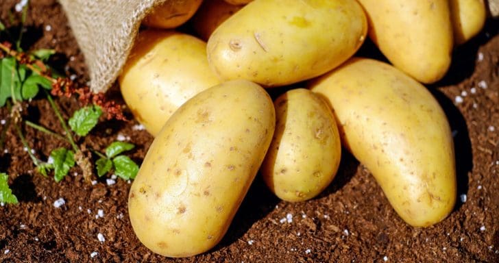 How To Grow Fresh Potatoes Right At Home