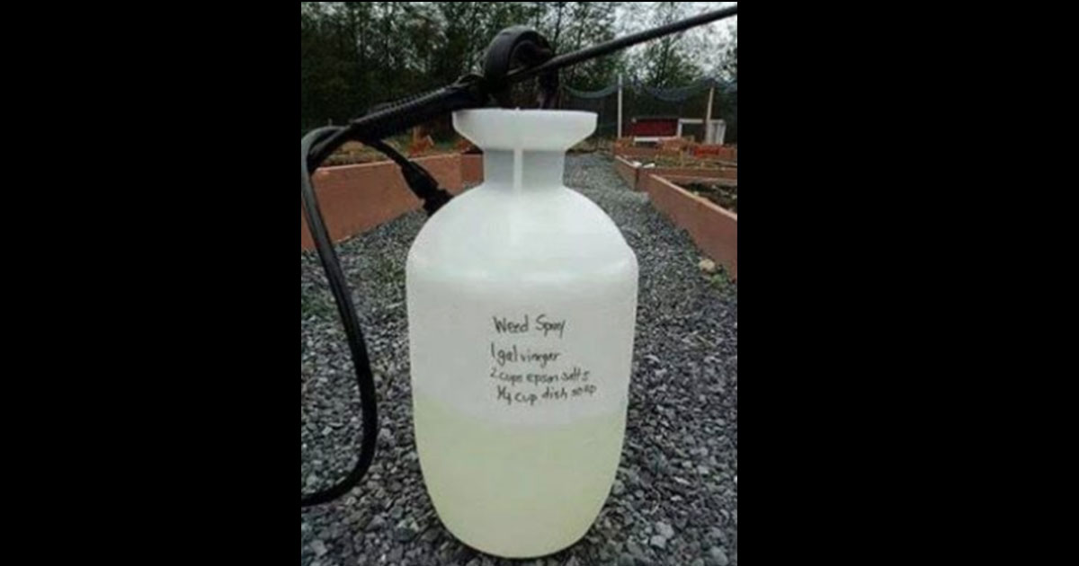 Man Demonstrates How To Make DIY