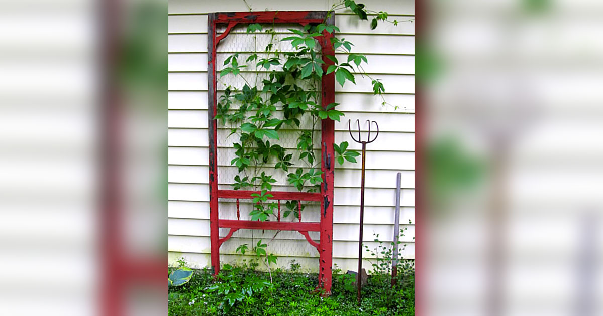 Dad S Old Doors For 10 Repurposes Them Into A Garden