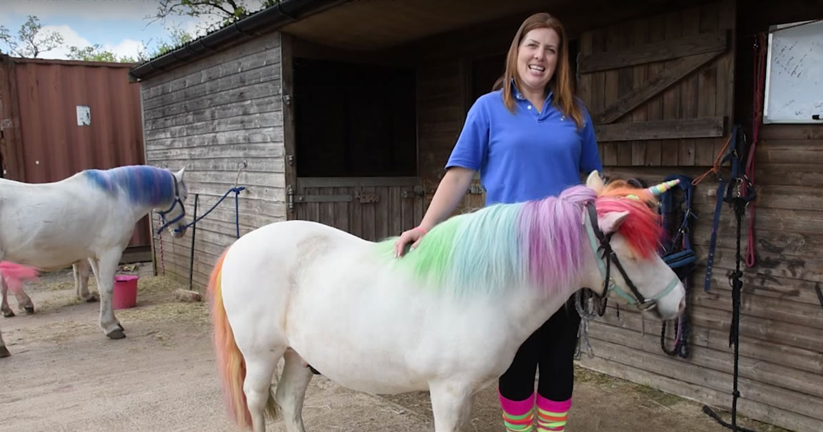 Woman Introduces Her Real Life Unicorn Tinks And She S Got More