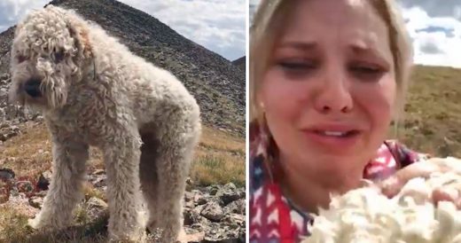 Woman Reunites With Dog Missing For 16 Days