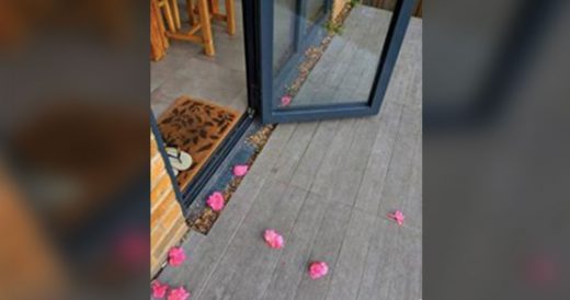 Confused Woman Keeps Finding Flowers On Doorstep And Pieces Together It’s The ...
