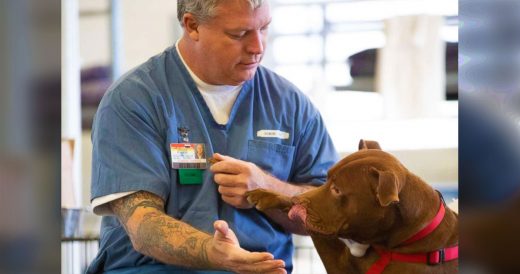 500 Dogs Have Been Saved Through Prison Program That’s Benefitting Inmates
