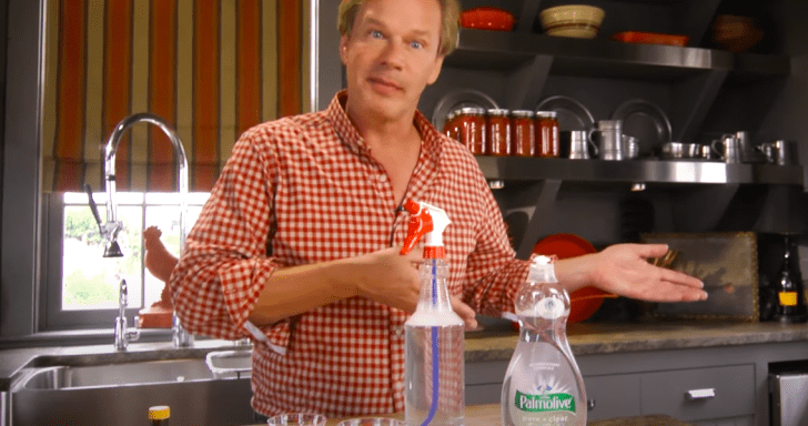 Expert Shares How To Keep Spiders Out Of Your Home With Easy-To-Make Natural Rep...