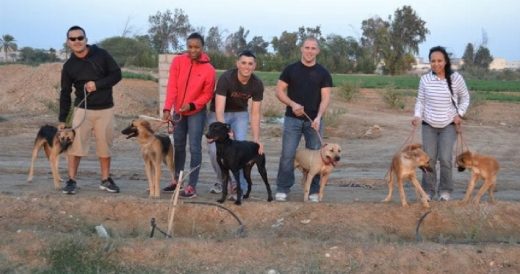 School Cross Country Team Runs With Lonely Shelter Dogs To Keep Them Company
