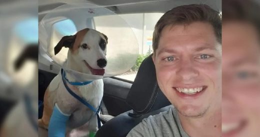 Man Punches Aggressive 13-Foot-Long Alligator To Save His Dog’s Life