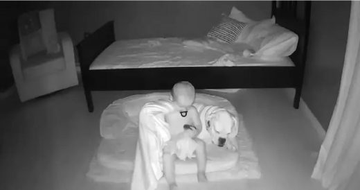 Camera Captures Toddler Sneaking Out Of Bed To Snuggle With Pet Dog