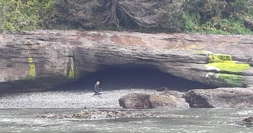 Two Surfers Save Starving Dog From Cave Who Has Been Missing For 3 Months