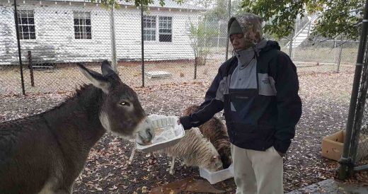 Non-Profit Turns Abandoned Prison Into Functional Farm To Help Troubled Young Me...
