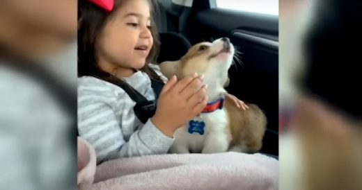 Puppy Howls Along To Frank Ocean Song While His Tiny Human Owner Holds Him