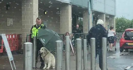 ‘Hero’ Security Guard Shields Dog From Rain With His Umbrella