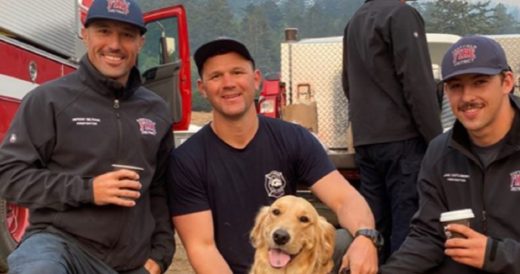 Therapy Dog Comforts Busy Firefighters Fighting Off California Wildfires