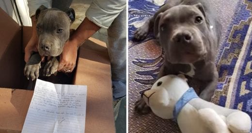 Boy Selflessly Gives His Puppy To Shelter To Save It From Father’s Neglect