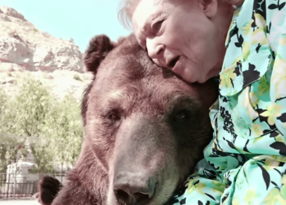 99-Year-Old Betty White Plants A Kiss On A Giant Grizzly Bear - MetaSpoon