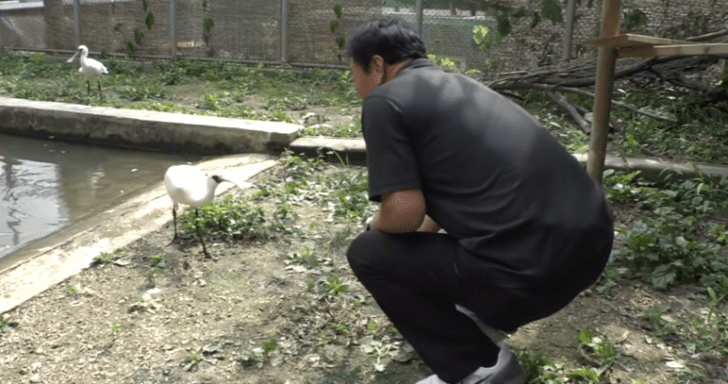 Endangered Bird Reunites With Man Who Rescued Him