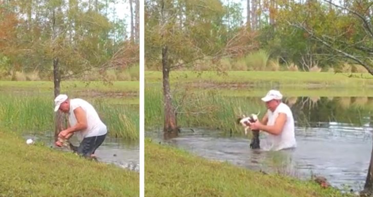 Brave Man Saves Little Puppy From Alligator Attack