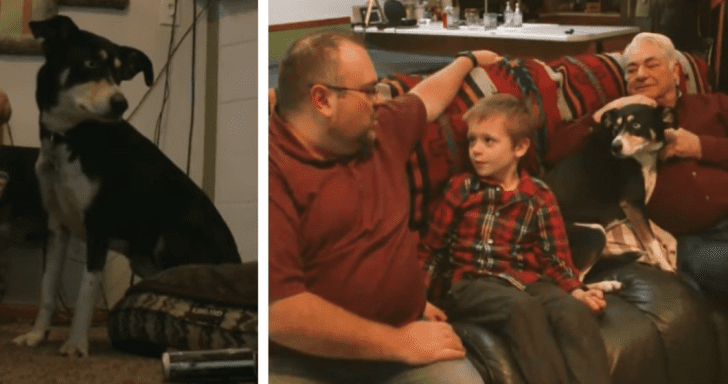 Alert Dog Wakes Up Family When He Senses Carbon Monoxide Leak