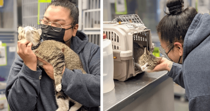Missing Cat Has Touching Reunion With Owner After 6 Years
