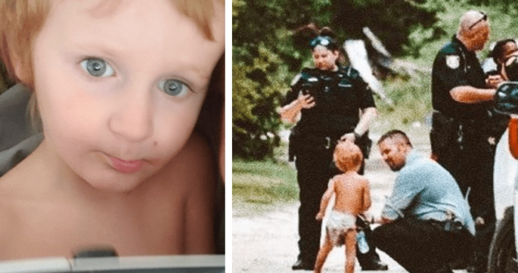 Loyal Dogs Protect Missing Child In Forest