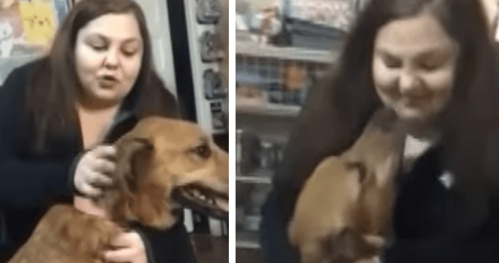 Dog Missing For 3 Years Is Found In Another State