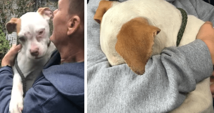 Terrified Puppy Buries His Face In Rescuer’s Arms