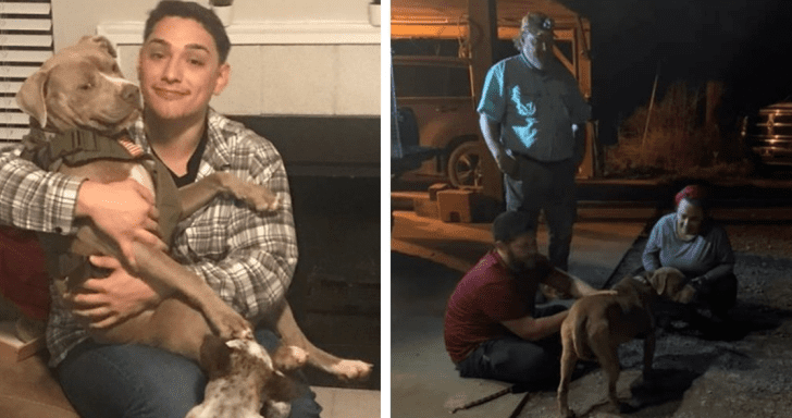 Navy Medic Gets Reunited With His Lost Service Dog