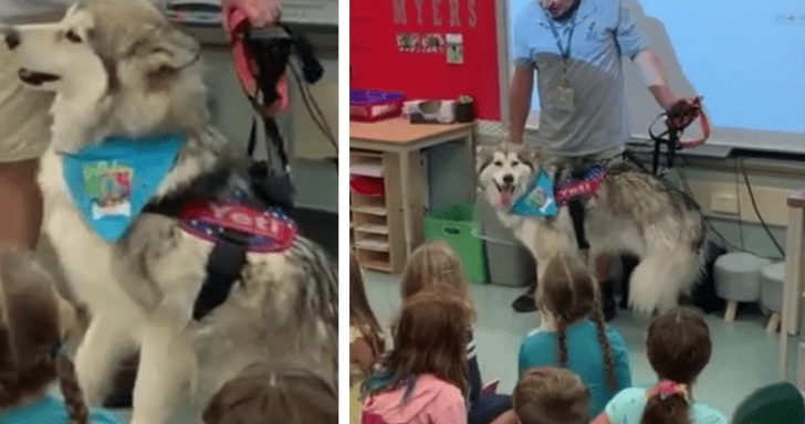 Little Kids Sing “Happy Birthday” To Therapy Dog