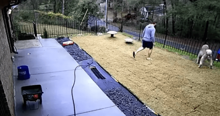 Friendly Man Drops Everything To Comfort Sad Old Neighbor