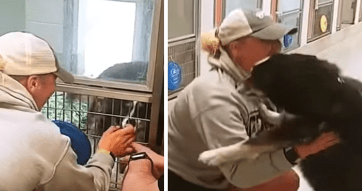 Missing Dog Gets Reunited With Mom After Two Weeks