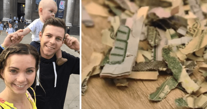 Mischievous Toddler Shreds Parents’ $1000 Worth Of Cash