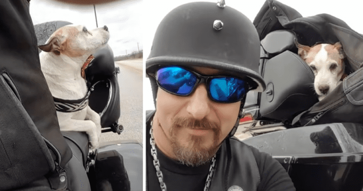 Concerned Biker Rescues Poor Dog On Highway And Makes Him His Co-Pilot