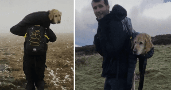Lost Dog Gets Rescued From Frozen Mountain By Hiking Couple