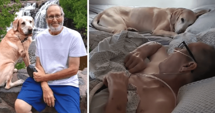 Air Force Veteran And Loyal Dog Pass Away An Hour And A Half Apart From Each Oth...