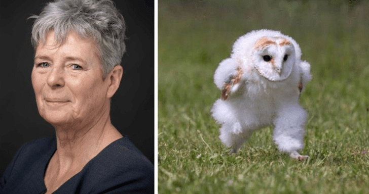 Photographer Captures Adorable Photo Of Baby Barn Owl Running