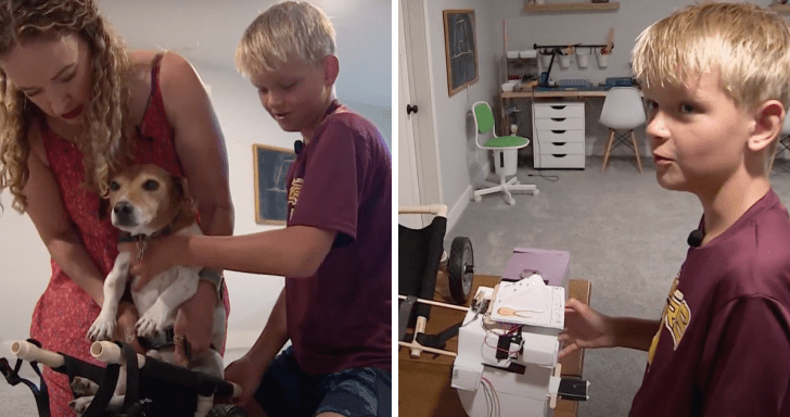 Smart 5th Grader Builds Wheelchair For His Teacher’s Disabled Dog