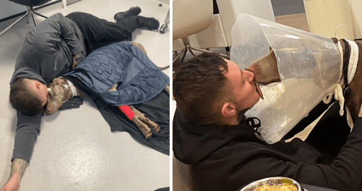 Worried Dog Owner Thinks About Selling His Home To Pay For Sick Dog’s Medicati...