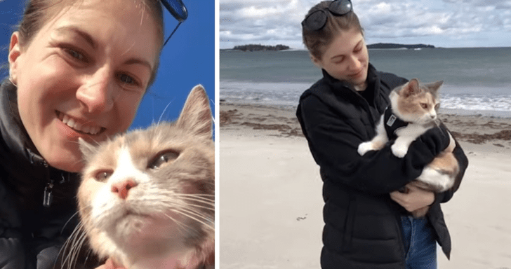 Cat-Lover Helps Seniors With Terminal Illnesses Rehome Their Cats