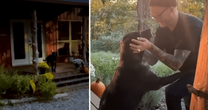 Mysterious Dog Who Wandered Onto Couple’s Front Porch Gets Adopted