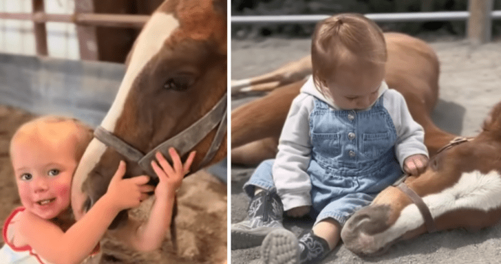 Adorable Two-Year-Old Girl Shows Off Her Horse-Whispering Skills
